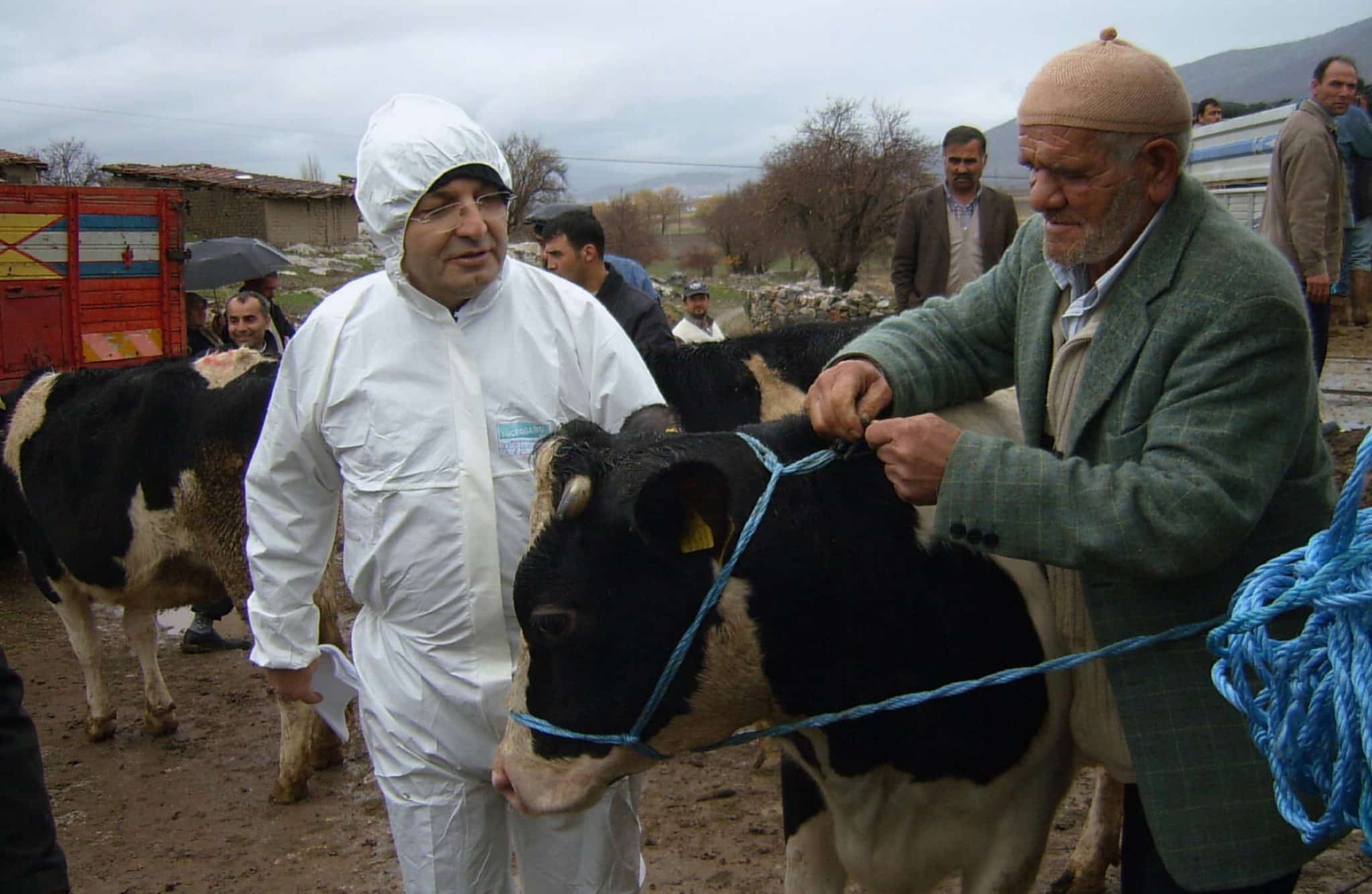 HAYVANCILIKTA, DOĞU İLLERİYLE YARIŞIR SAYIYA ULAŞTIK…