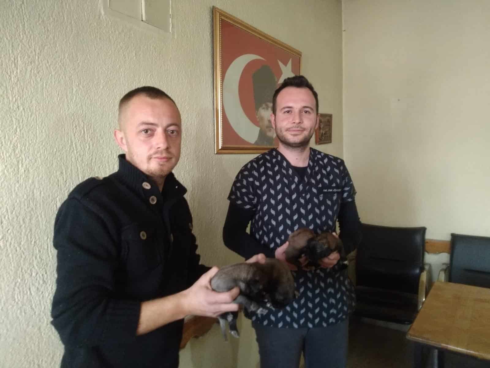 SON ANDA FARK EDİLDİLER, ÖLÜMDEN DÖNDÜLER…
