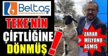 BELTAŞ BATAKTA, ONUN İŞLERİ TIKIRINDA…