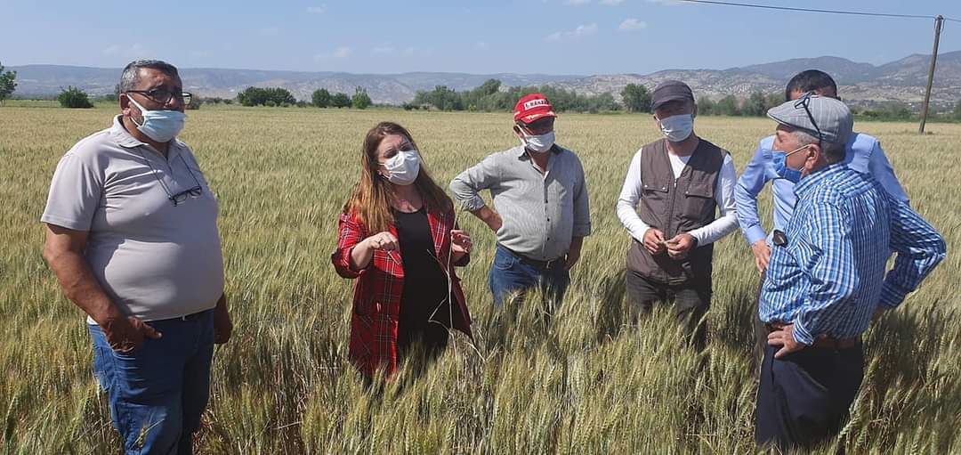 KARACA, SUSUZLUK YÜZÜNDEN ZARAR GÖREN ÇİFTÇİLERLE BULUŞTU…