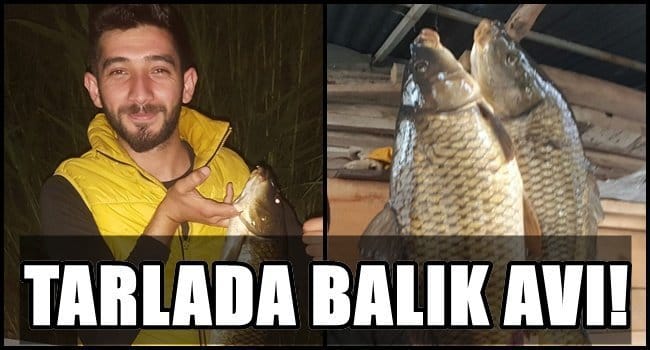 GÖL, NEHİR, DENİZDE DEĞİL…