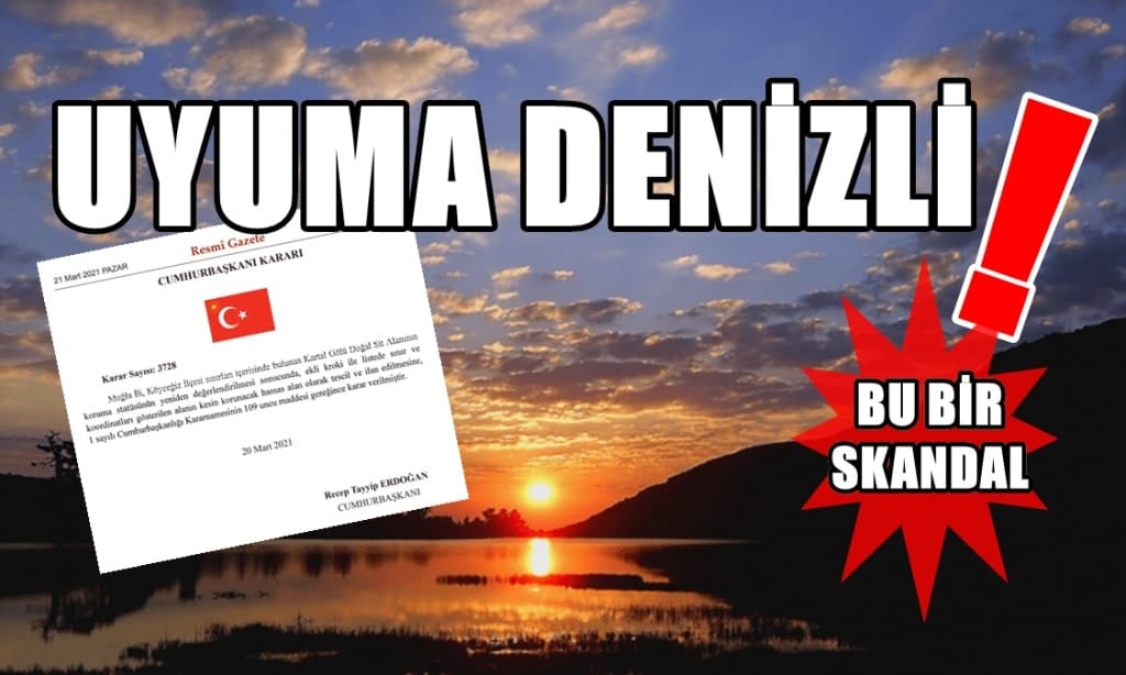 CUMHURBAŞKANI ERDOĞAN'I BİLE YANILTTILAR…