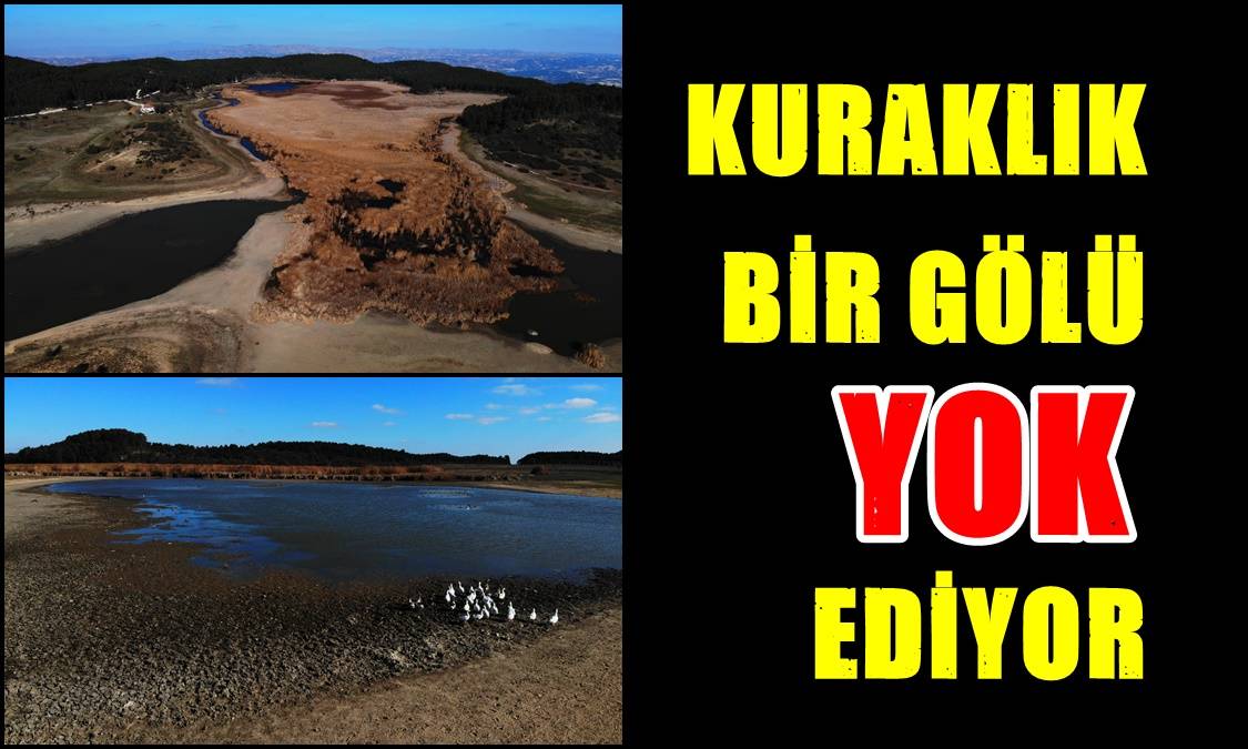 Geçtiğimiz Yıl Kesin Koruma Kararı Alınmıştı…