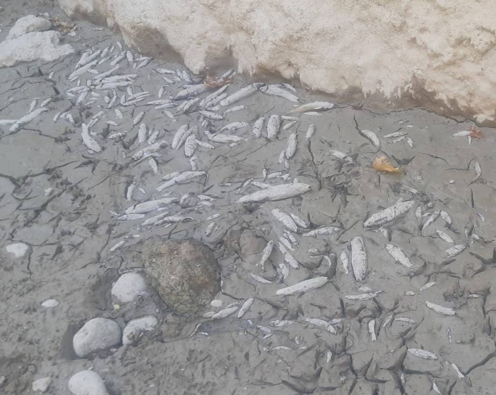 MENDERES BİR DAMLA SUYA MUHTAÇ…