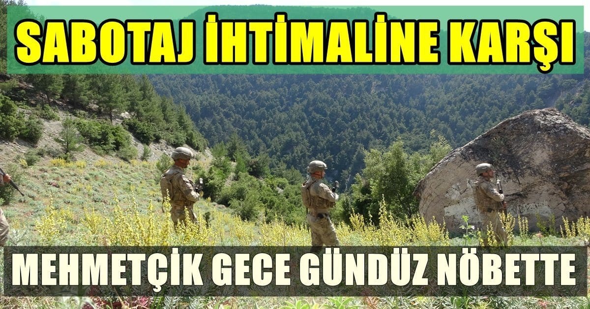 Ormanlarımız Mehmetçiğe Emanet…