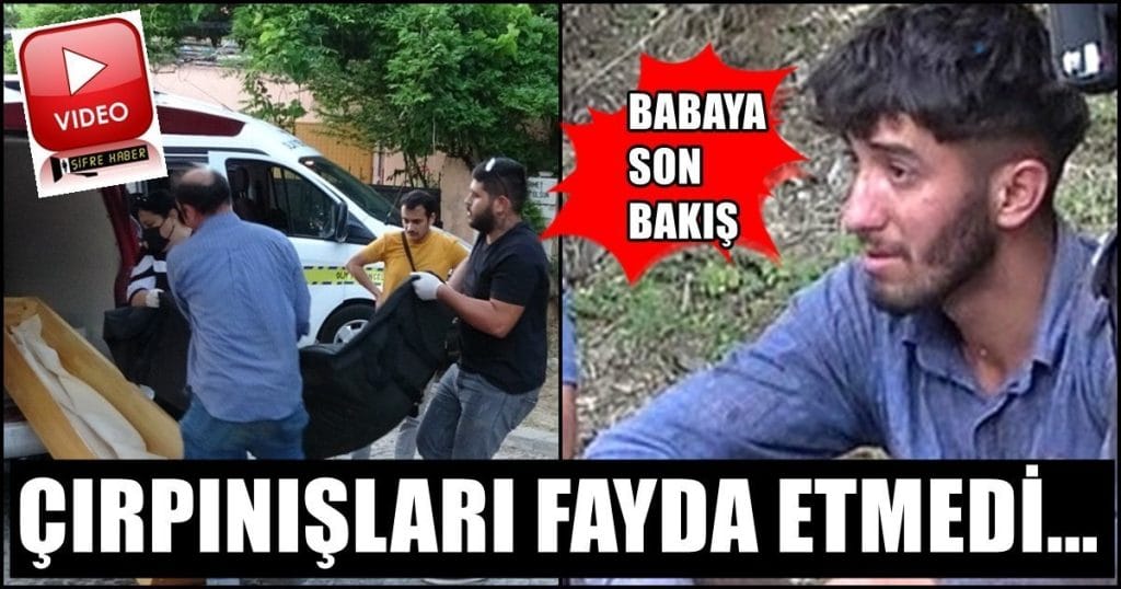 BABAYA BAKIS 1