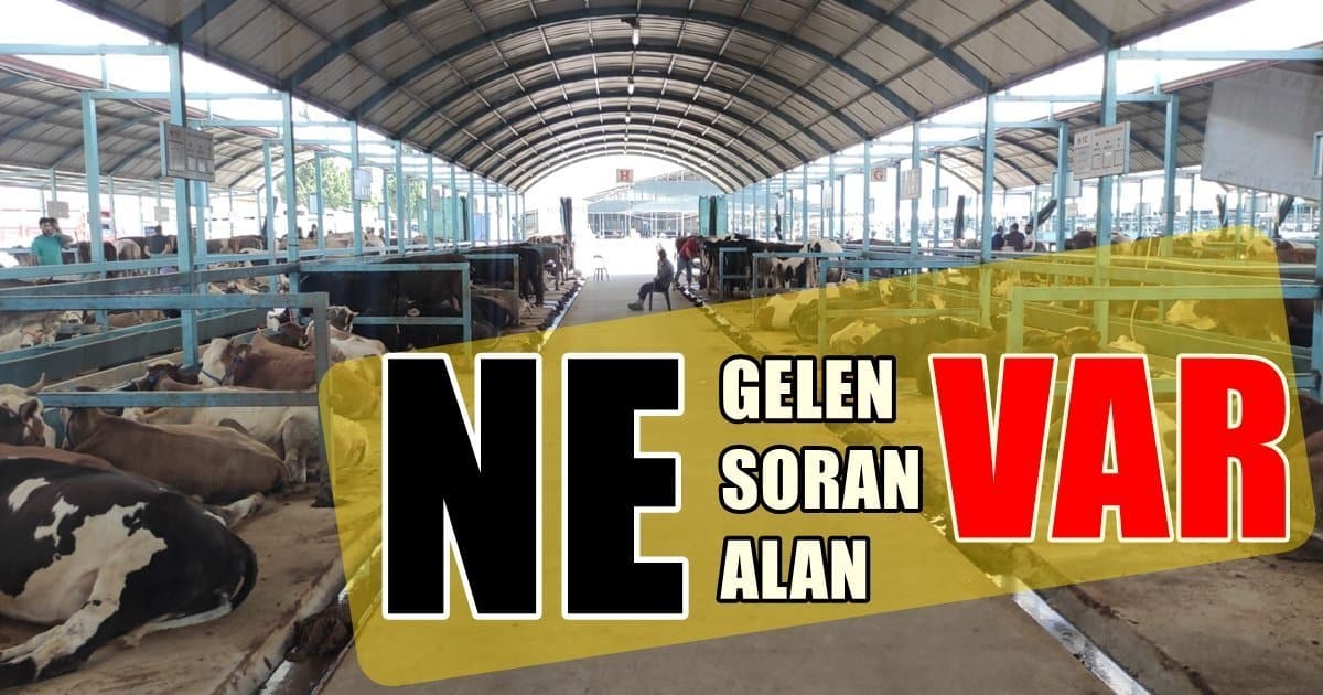 Kurbanlık Pazarında Yaprak Oynamıyor…