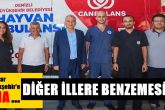 Buyuksehirden can dostlara ozel hayvan ambulansi 5