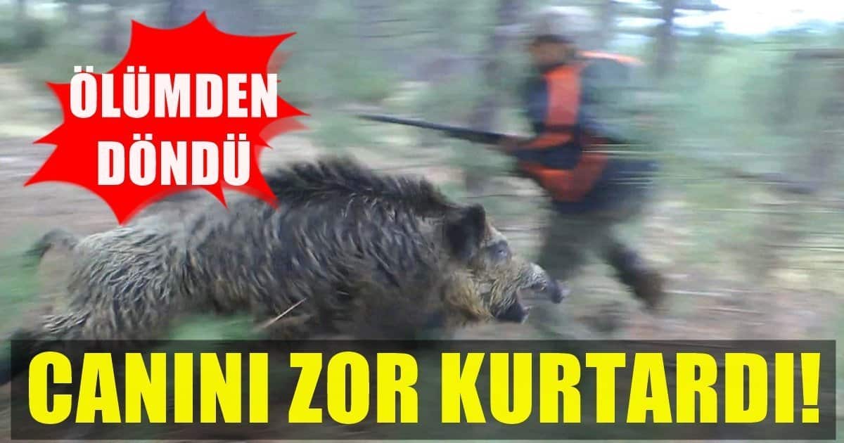 Domuzun Saldırısına Uğrayan Buldanlı Avcı, Hastaneye Kaldırıldı…