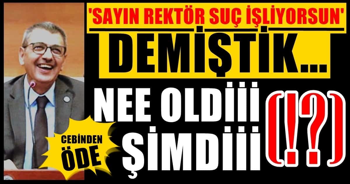 Suçu İşleyen Rektör, Parayı Ödeyen İse Üniversite… Yani Kamu, Yani Bu Millet…