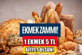 EKMEK1