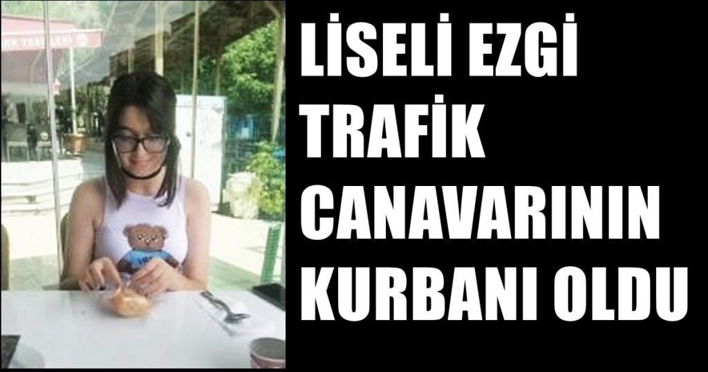 Kamyonetin Çarptığı Liseli Ezgi, Yaşama Tutunamadı...