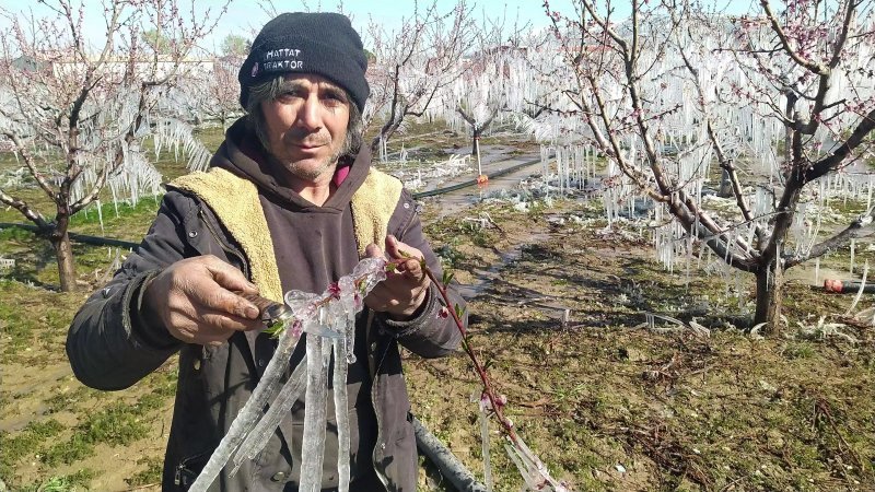 Denizlili Üreticilerden, Dondan Korunmak İçin İlginç Yöntem...