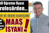 "Buyurun Gelin, Bu Maaşla Burada Yaşayın!" Dedi Ve...