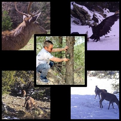 Fotokapanlara Yansıyan Görüntüler Belgeseli Aratmadı...