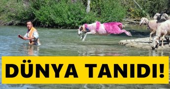 Çal'ın Kınalı Kuzuları, UNESCO Dergisinde Boy Gösterdi...
