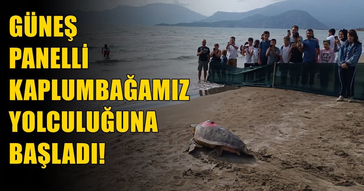 Pamukkale Üniversitesi Geliştirdi ve Uygulamaya Soktu…
