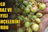 Denizli'nin Honaz ve Kale İlçelerini Dolu Vurdu...