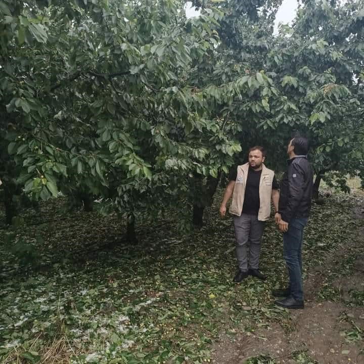 Denizli'nin Honaz ve Kale İlçelerini Dolu Vurdu...