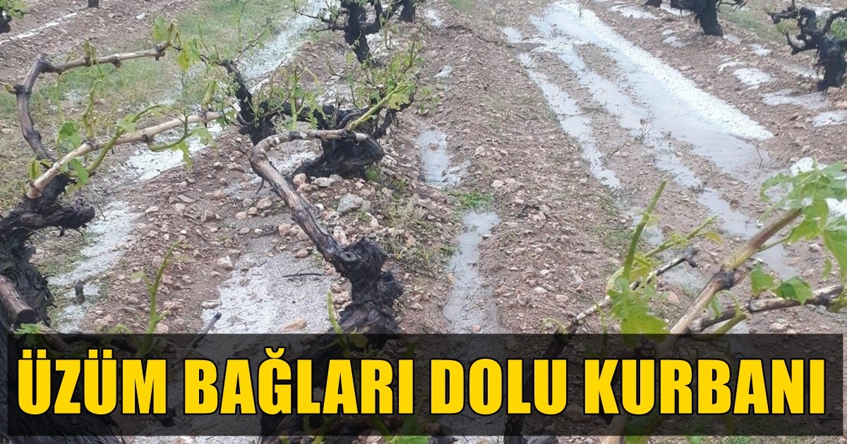 Denizlili Üzüm Üreticilerini Dolu Vurdu…