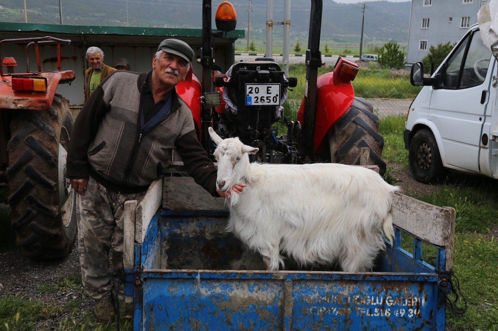 Denizli Hayvan Pazarlarında Bayram Hareketliliği Başladı…