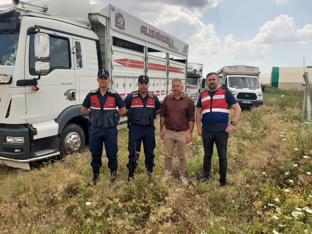 Denizli'de, 3,5 Milyon Liralık Kurbanlık Soygunu...