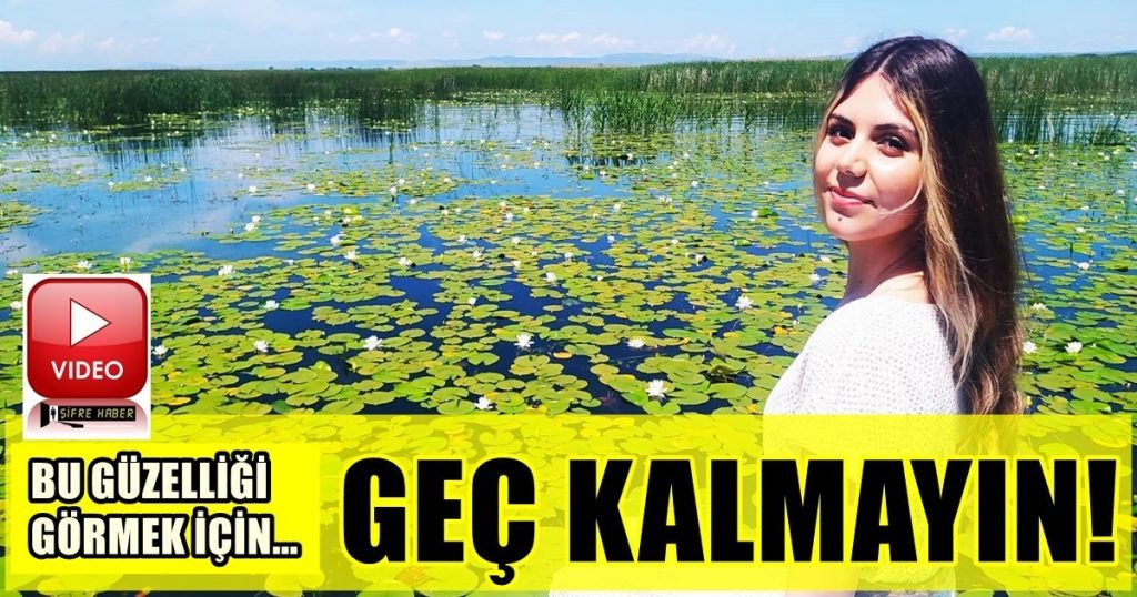 Denizli'nin Çivril İlçesindeki 'Nilüferli Göl'de, Büyüleyicisi Turlar Başladı...