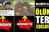 Emanet Canlara Böyle mi Bakıyorsunuz Sayın Başkan?..