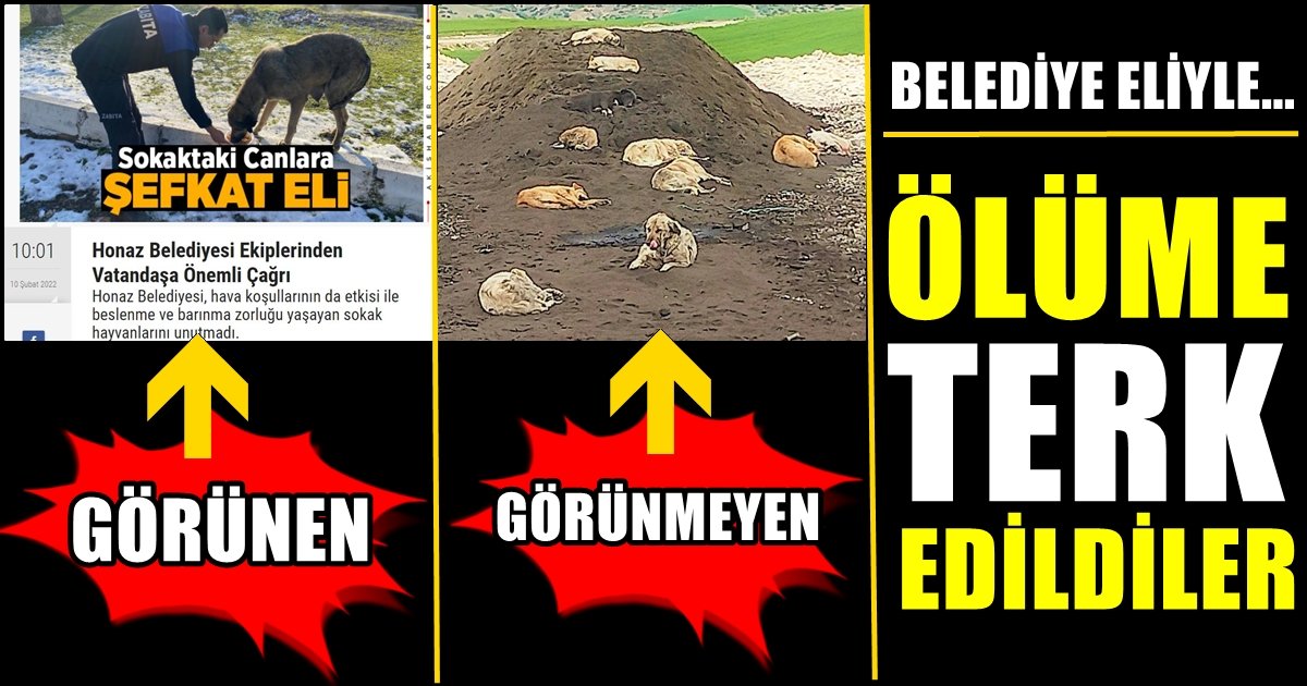 Emanet Canlara Böyle mi Bakıyorsunuz Sayın Başkan?..