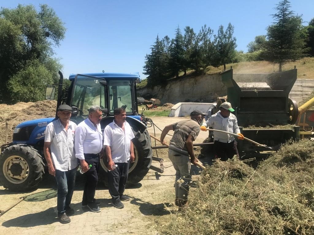 Denizli'nin Coğrafi İşaret Tescilli Kekiği, Yağış Kurbanı...