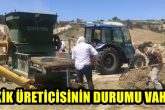 Denizli'nin Coğrafi İşaret Tescilli Kekiği, Yağış Kurbanı...