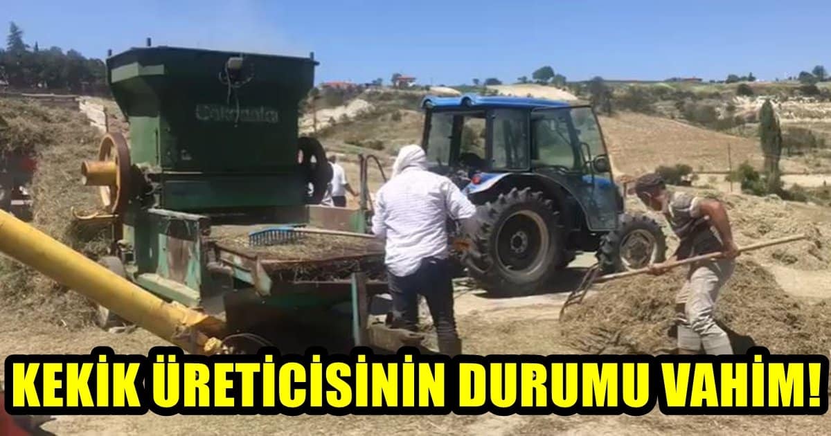 Denizli’nin Coğrafi İşaret Tescilli Kekiği, Yağış Kurbanı…