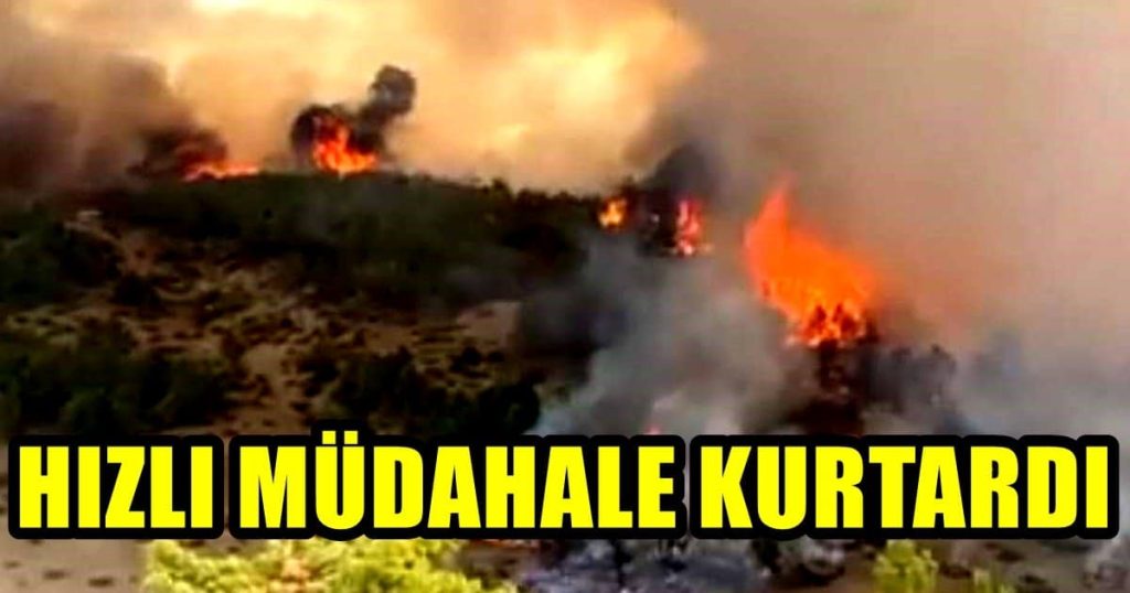 Denizli Honaz'da Ormanlık Alanda Başlayan Yangın, Ucuz Atlatıldı...