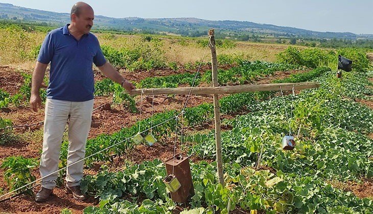 Denizli’de Domuzlara Tenekeli Önlem…