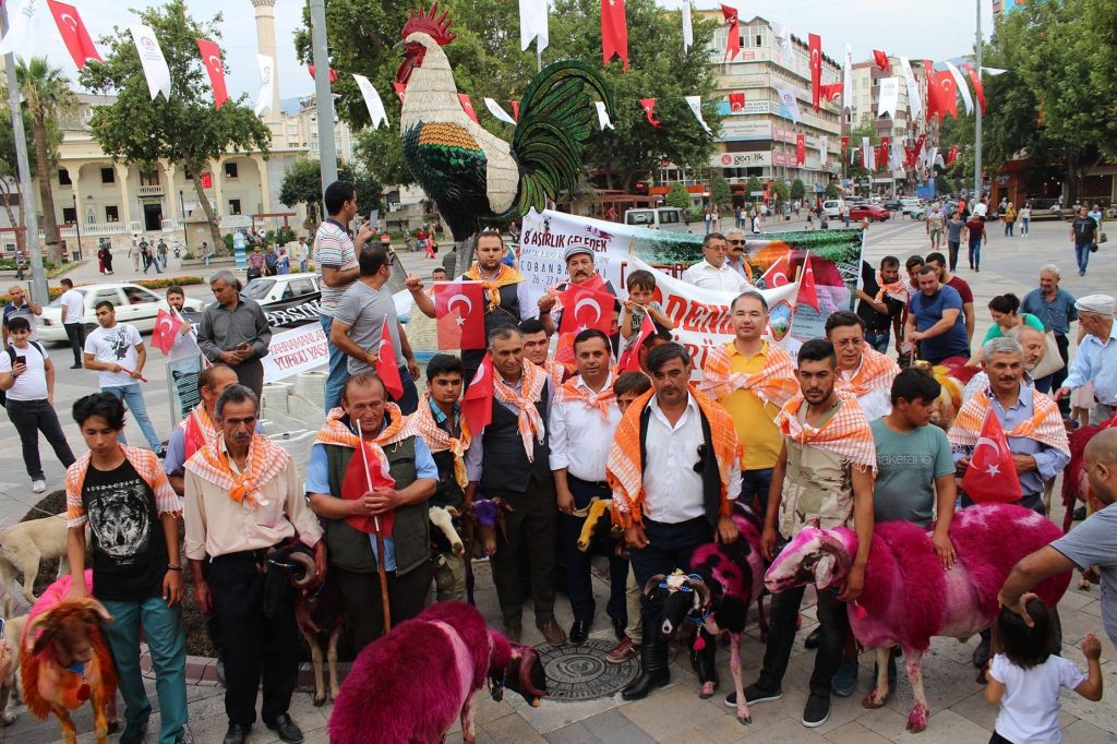 Çal’ın Kınalı Koçları, Cumhuriyet İçin Yarışacak...