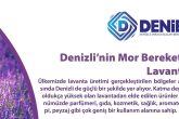 DENİB Başkanı Memişoğlu: Lavanta, Denizli’nin Mor Bereketi Haline Geldi...