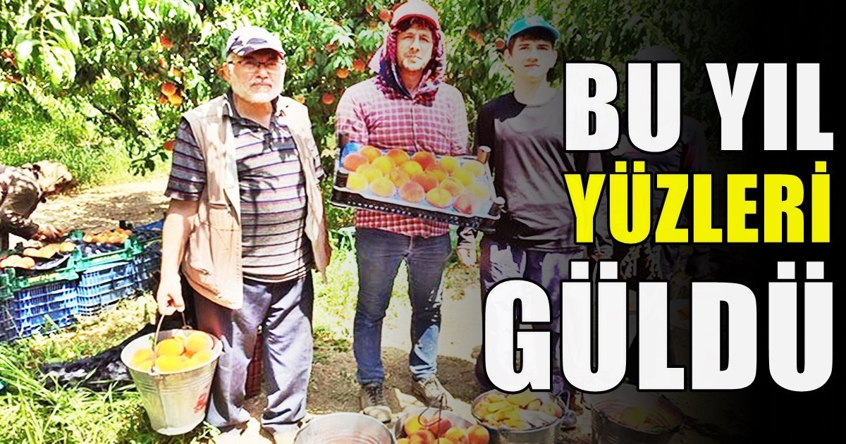 Denizlili Şeftali Üreticileri Fiyat ve Rekolteden Memnun…