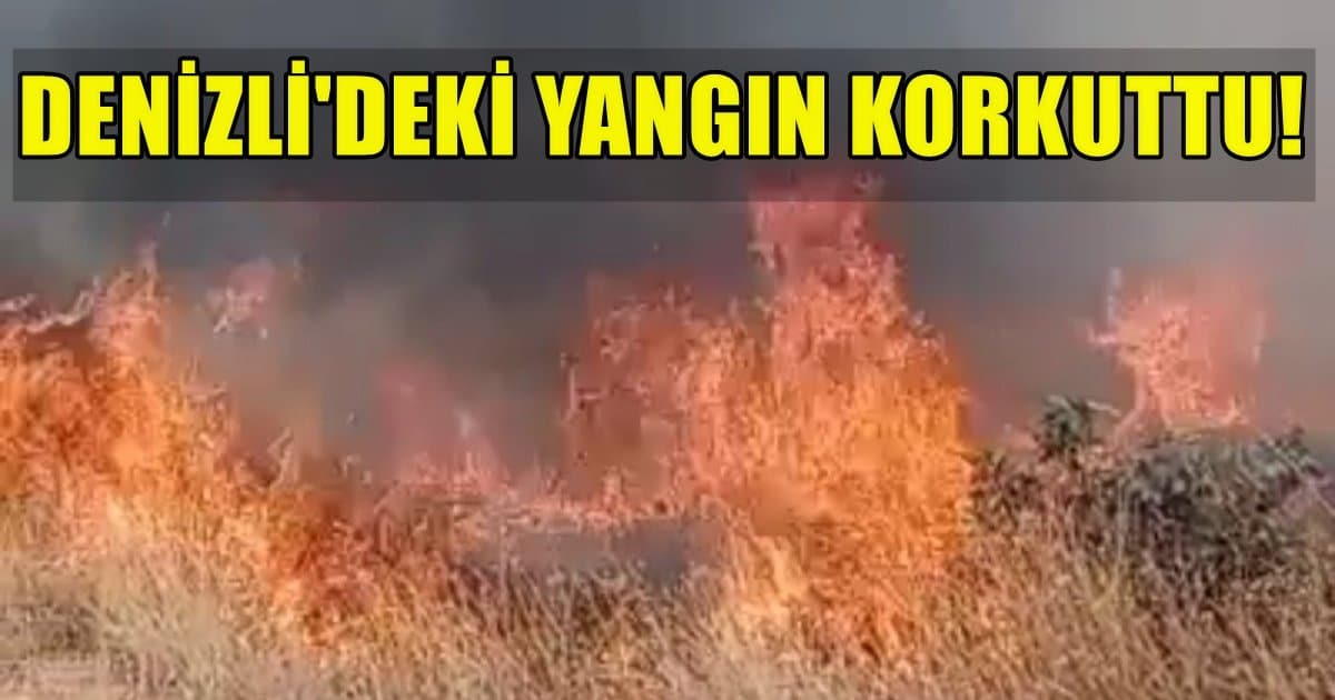 Denizli’deki Orman Yangını, Büyümeden Söndürüldü…