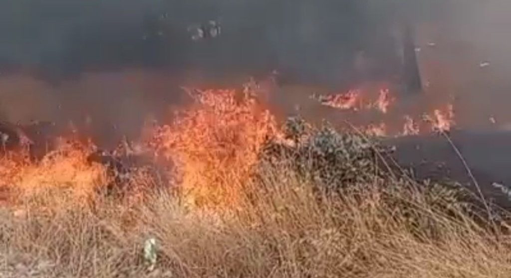 Denizli'deki Orman Yangını, Büyümeden Söndürüldü...