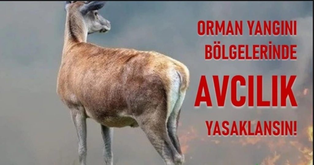 Yangınları Önlemek Amacıyla Avcılığın Yasaklanmasını Talep Ettiler...