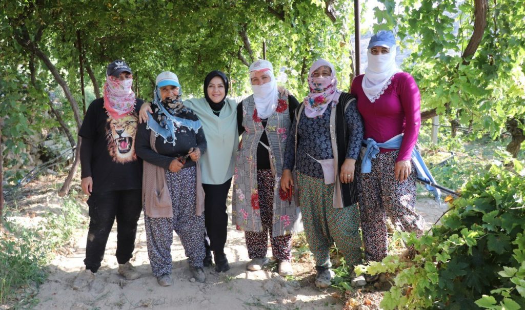 Denizli Milletvekili Ün, Üzümcülerin Sorunlarını Sahaya İnerek Dinledi…