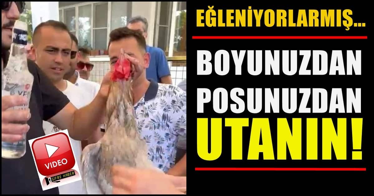 Denizli’de, Horoza Rakı İçirip İşkence Yapan Gençler Gözaltına Alındı…