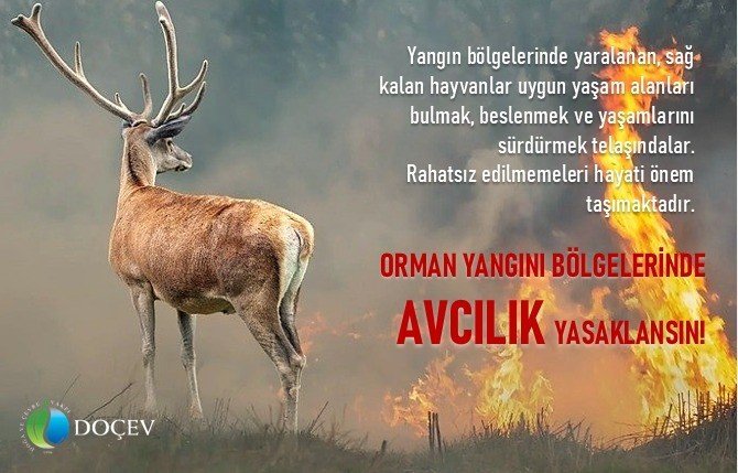 Yangınları Önlemek Amacıyla Avcılığın Yasaklanmasını Talep Ettiler...