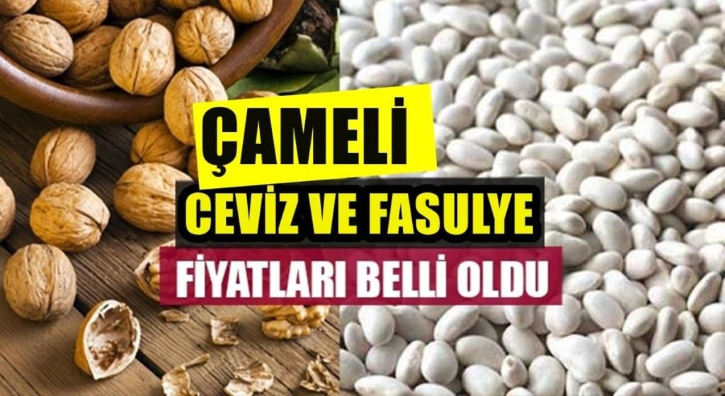 Denizli'nin Çameli Fasulyesi ve Cevizinin 'Yeni Hasat' Fiyatları Belli Oldu...
