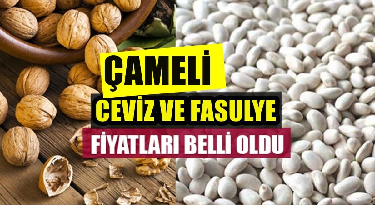 Denizli’nin Çameli Fasulyesi ve Cevizinin ‘Yeni Hasat’ Fiyatları Belli Oldu…