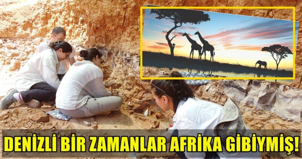 Denizli'de Fil, Gergedan, Zürafadan Sonra Yeni Hayvan Türlerine de Rastlandı...