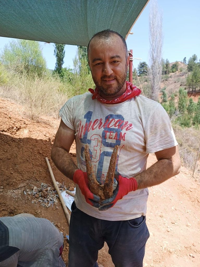 Denizli'de Fil, Gergedan, Zürafadan Sonra Yeni Hayvan Türlerine de Rastlandı...