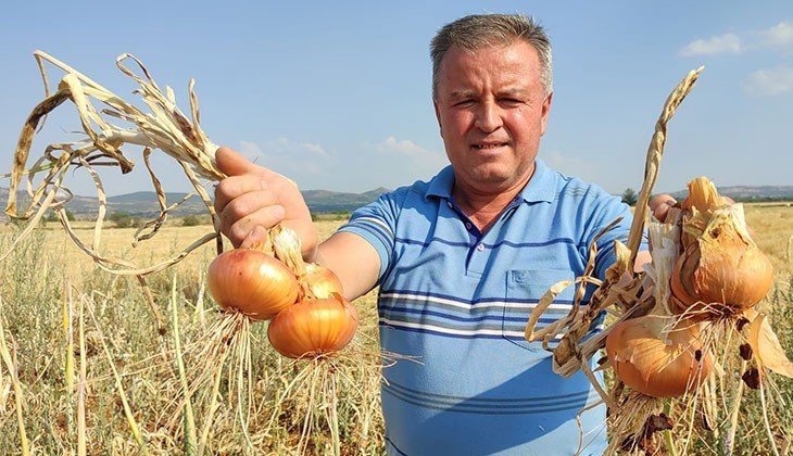 Hastalık Nedeniyle Zarar Gören Denizlili Üzüm Üreticilerinin Umudu Soğan Oldu...