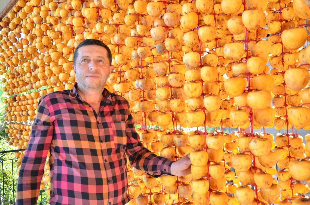 Denizli, Çok Aranan Bu Meyvenin Merkezlerinden Biri Haline Geldi...