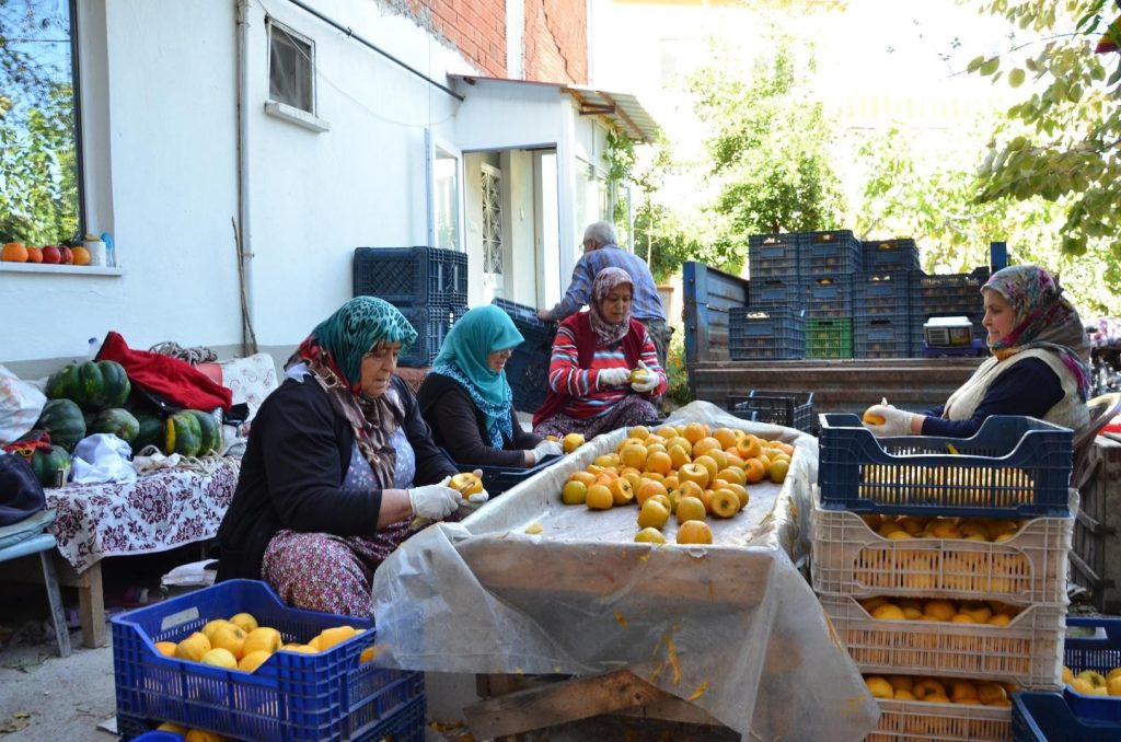 Denizli, Çok Aranan Bu Meyvenin Merkezlerinden Biri Haline Geldi...